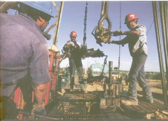 Petroliştii pierd pe bandă rulantă procesele cu Consiliul Concurenţei
